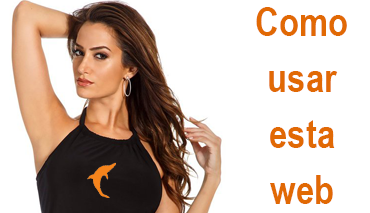 Como usar esta web
